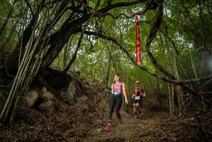 BIB: 
                            <button type="button" onclick="openModal(22178344)" class="btn btn-primary btn-sm float-right btn-popup" data-toggle="modal" data-target=".modal-high-quality">
                        <i class="fas fa-shopping-cart"></i> Add to Cart
                    </button>
                                            <button type="button" onclick="isThisMe(22178344, true)" class="btn btn-success btn-sm float-right btn-popup btn-isme hidden" data-toggle="tooltip" data-placement="bottom" title="นี่คือรูปของคุณใช่ไหม คลิกที่นี่เพื่อเอาเข้าอัลบั้ม">
                        <i class="fas fa-plus"></i> Add to album
                    </button>
                    <button type="button" onclick="isThisMe(22178344, false)" class="btn btn-warning btn-sm float-right btn-popup btn-isnotme hidden">
                        <i class="fas fa-ban"></i> Remove from album
                    </button>